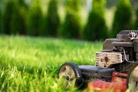 Pros and Cons of Artificial Grass: Is Synthetic Turf Right For Your Lawn? 